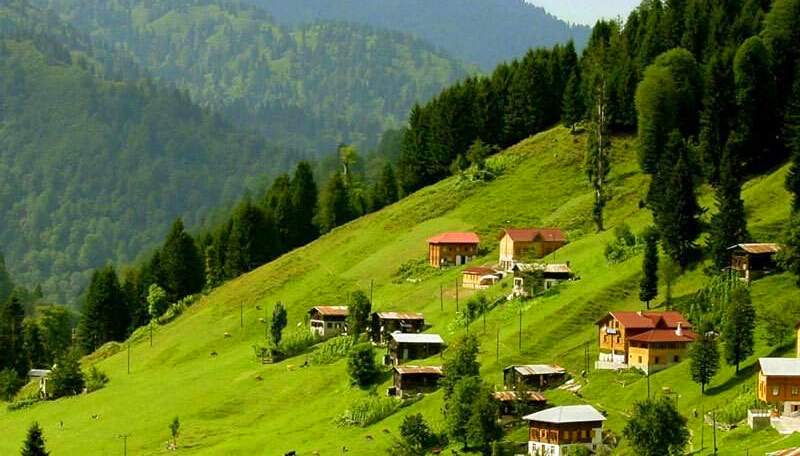 Peynir Çeşitleri ve Özellikleri